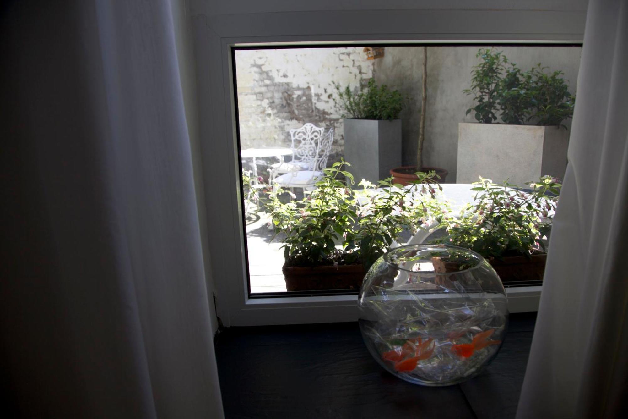 Apartment Miro ケルン エクステリア 写真